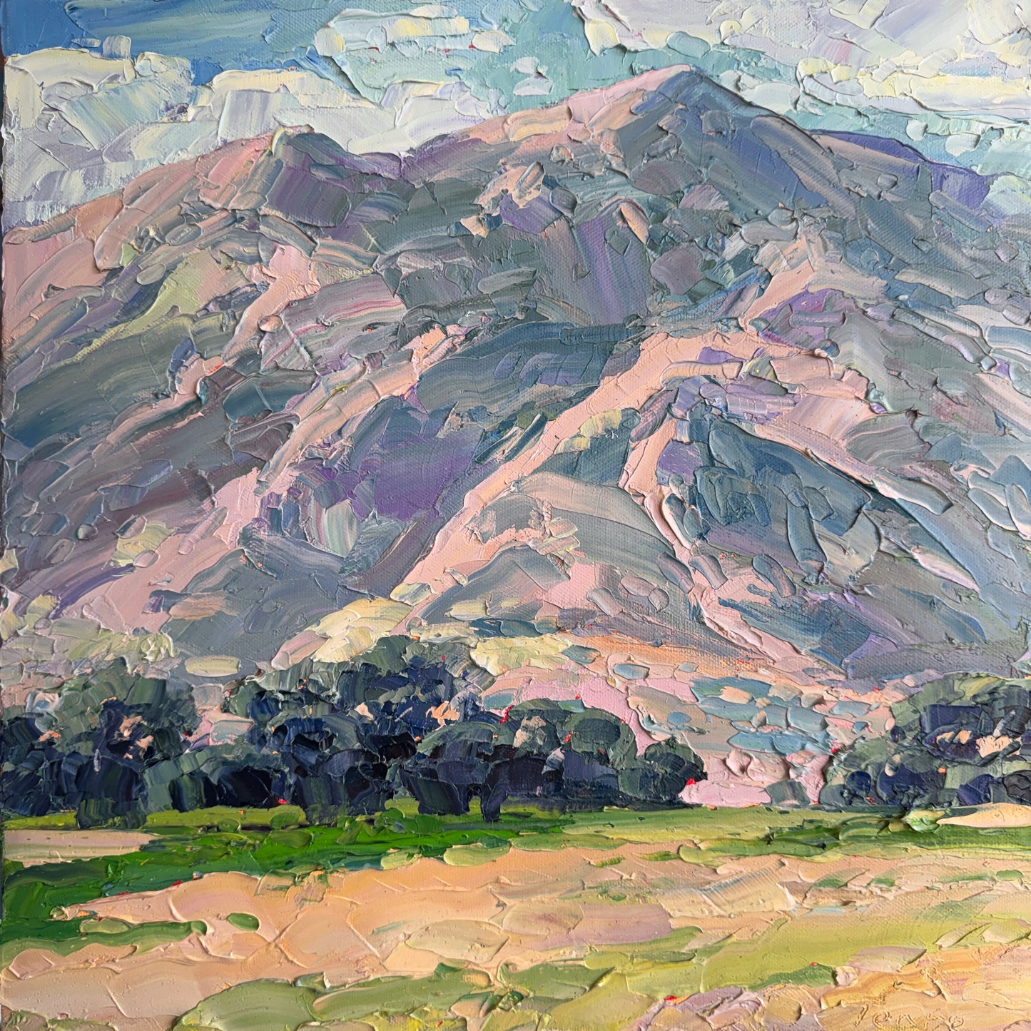Sardine Canyon View