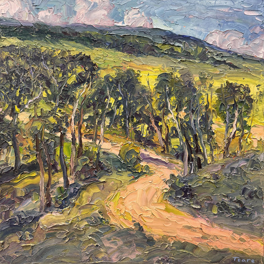 Road Near Ohio Creek