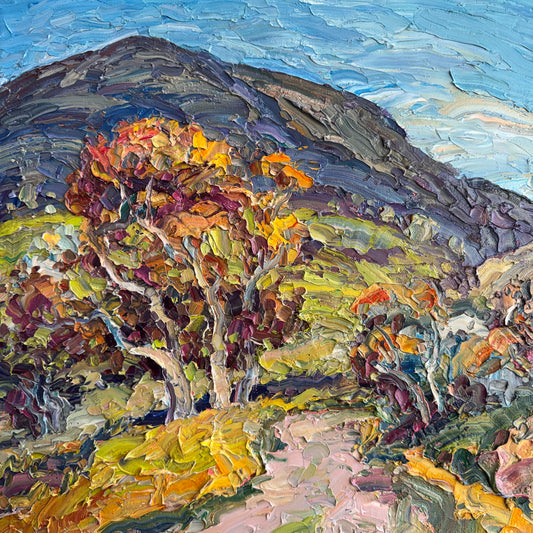 Mount Sterling Afternoon