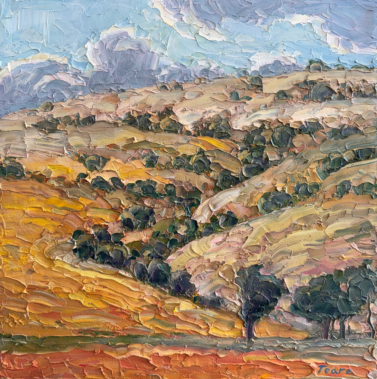 Western Foothills, 16" x 16"